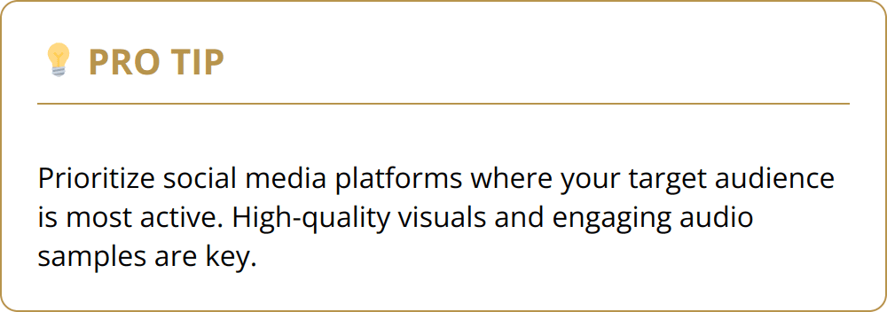 Pro Tip - Prioritize social media platforms where your target audience is most active. High-quality visuals and engaging audio samples are key.